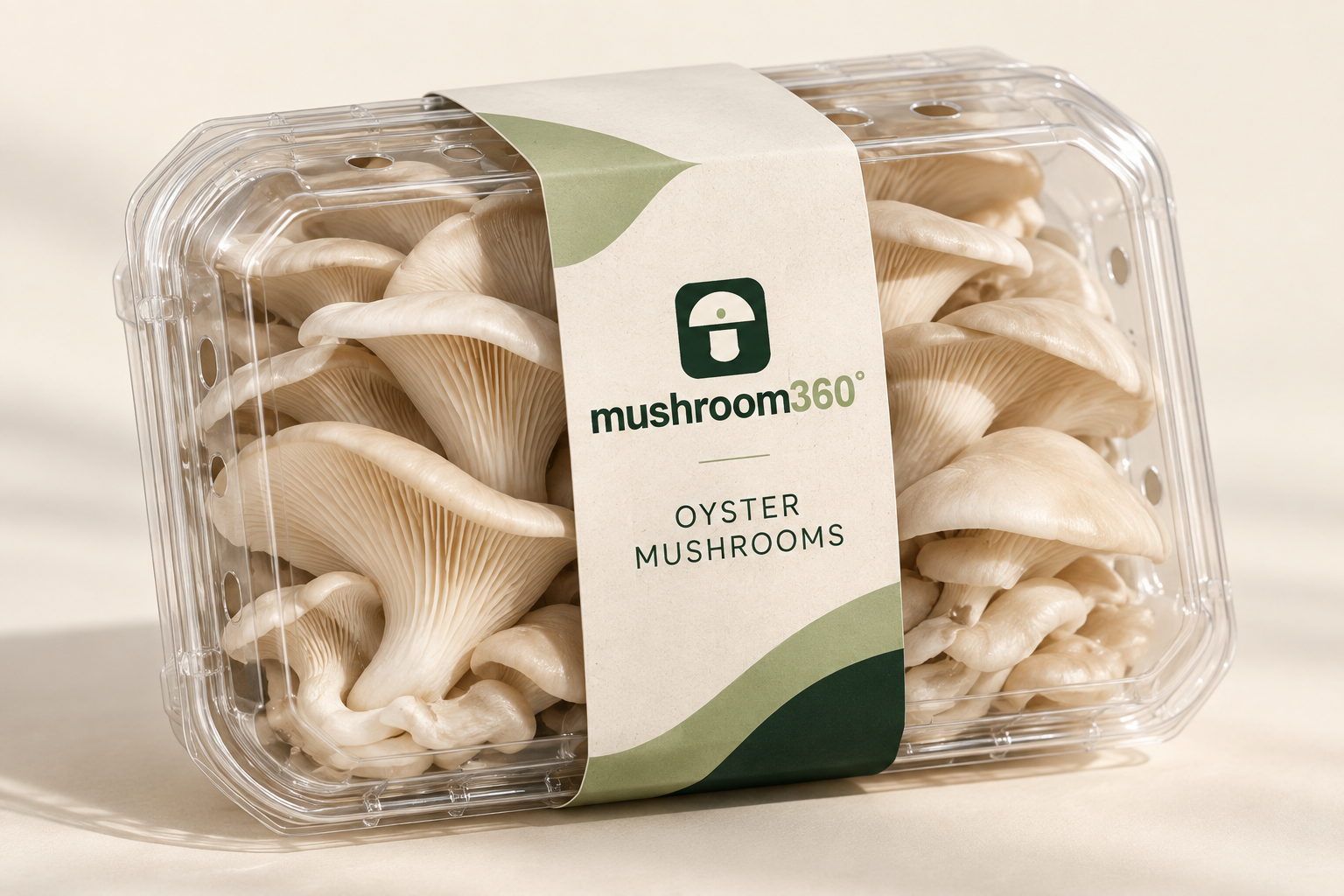 Concept Mushroom360 oyster mushrooms in a ventilated retail pack